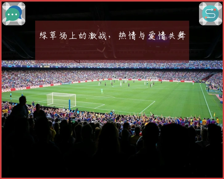 绿草场上的激战，热情与爱情共舞